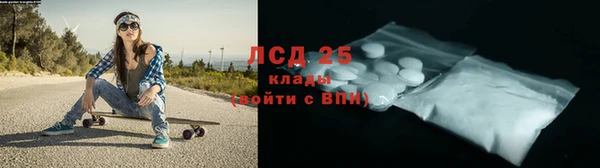 сатива Протвино