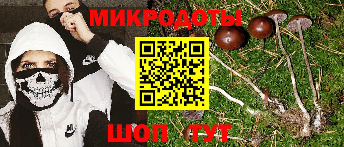 Галлюциногенные грибы Psilocybine cubensis Азов